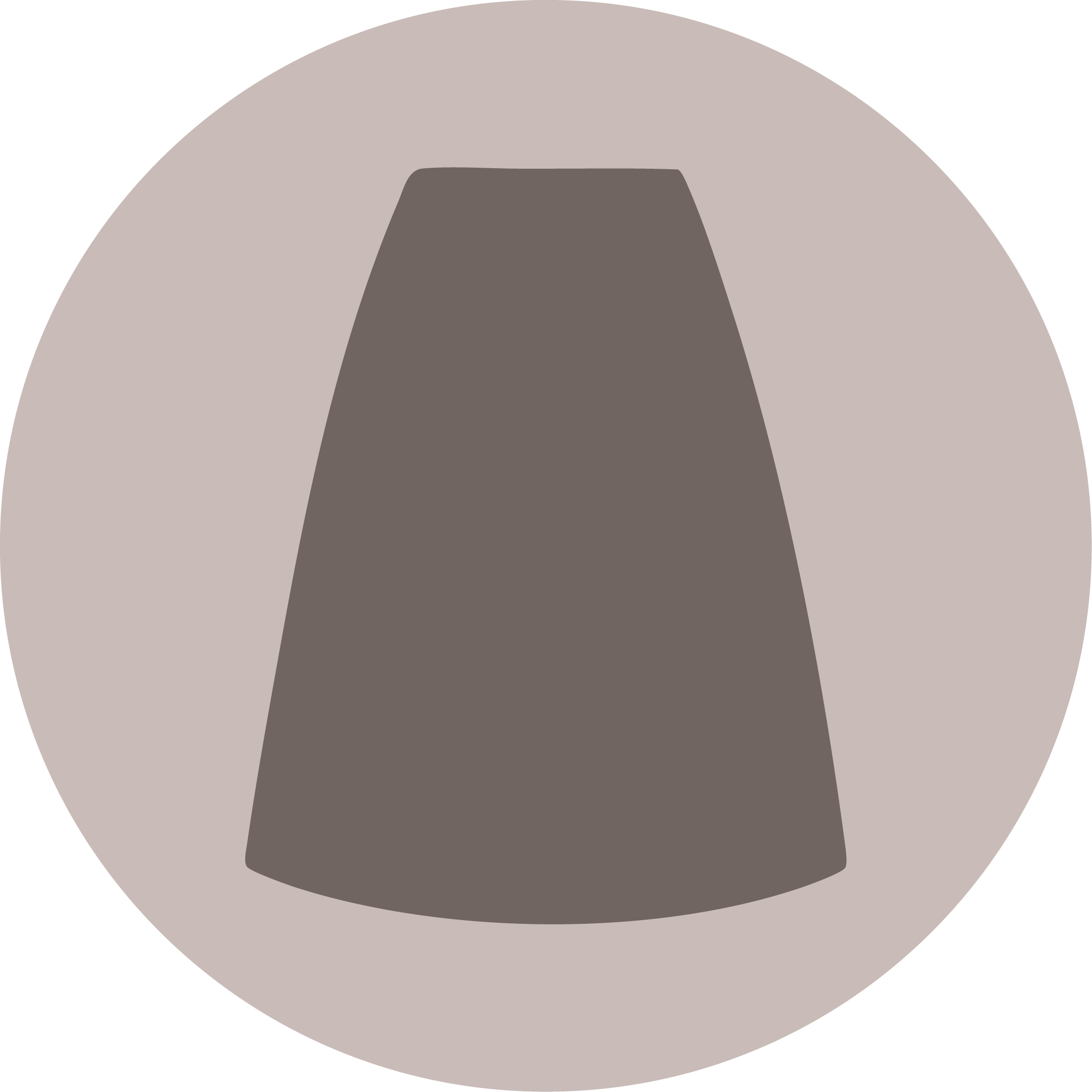 シフォンスカート